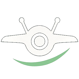 Logo Noé FPV - Vidéaste drone cinématique
